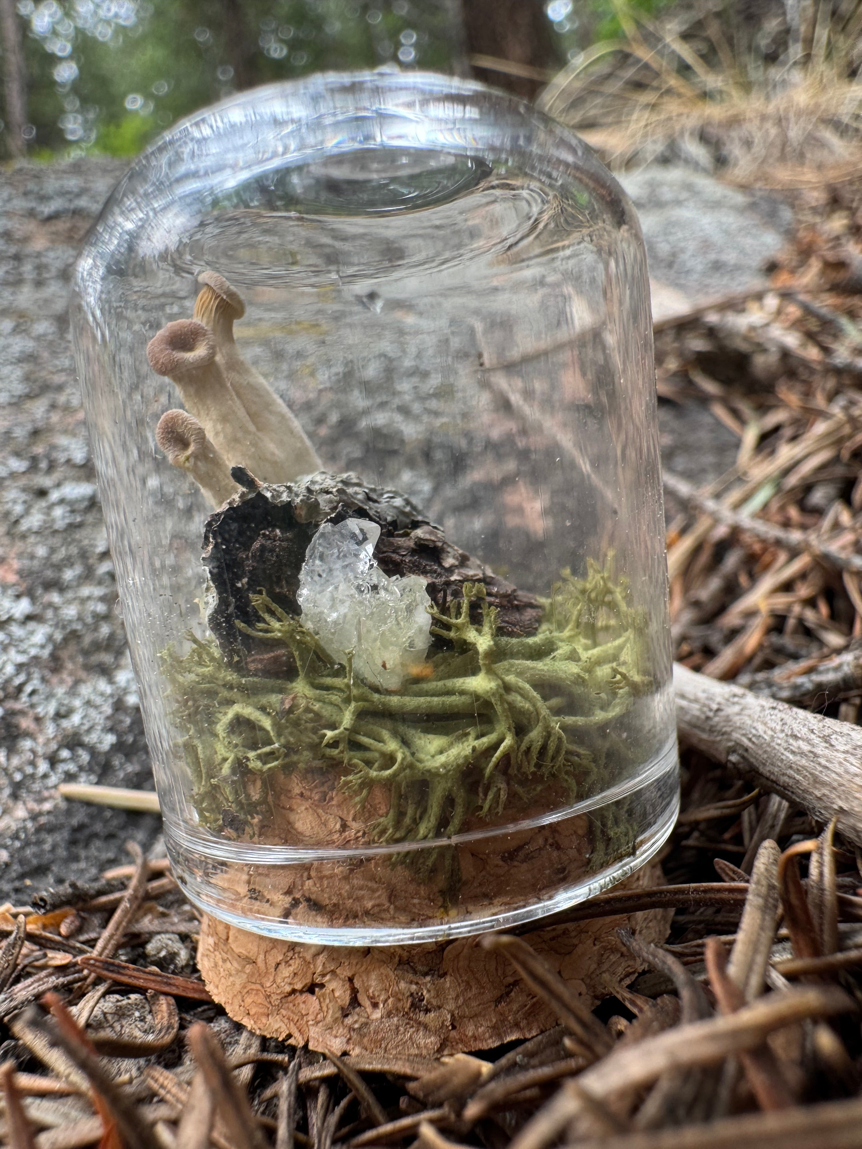 Mossy Mountain Miniatures