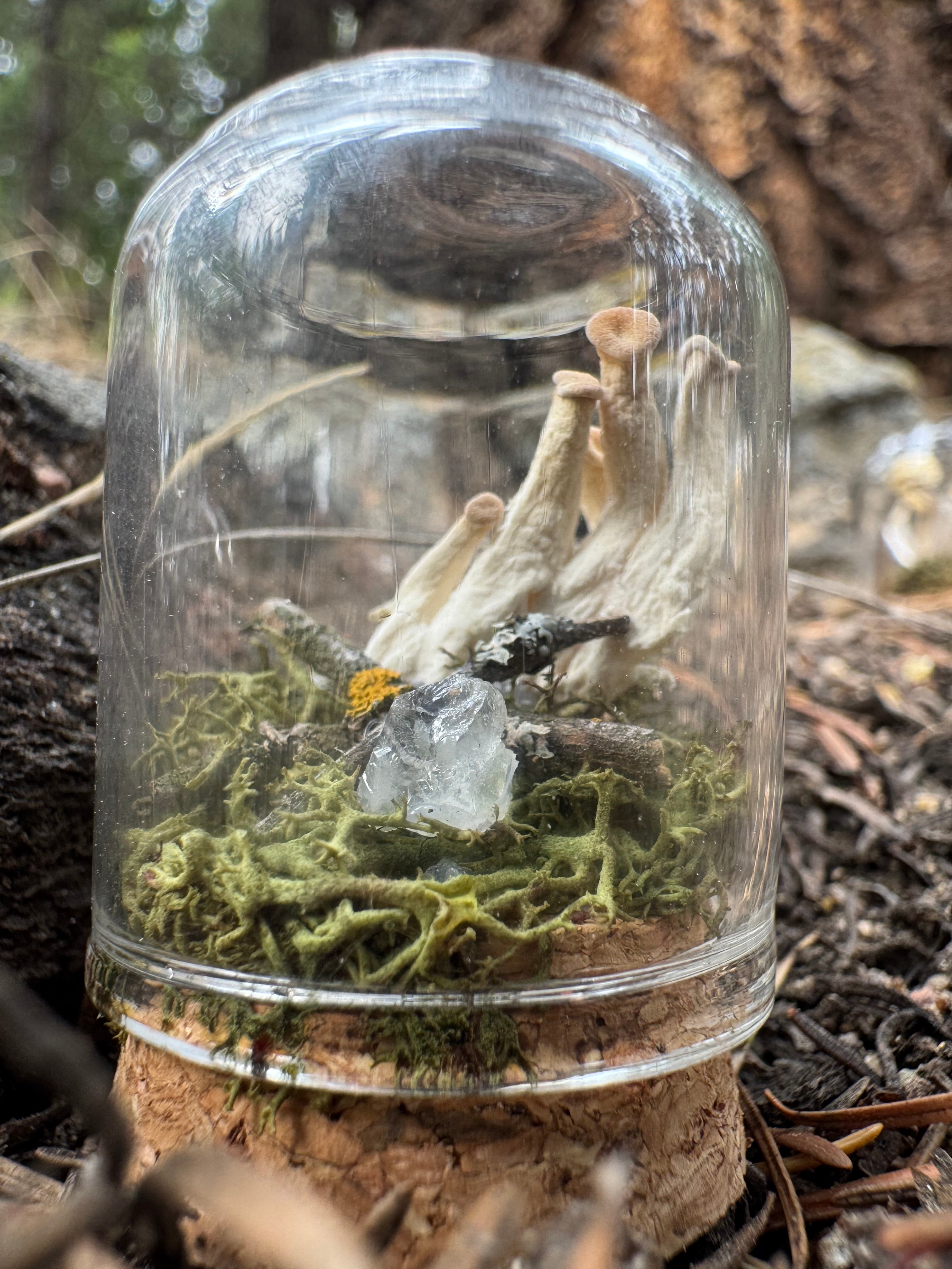 Mossy Mountain Miniatures