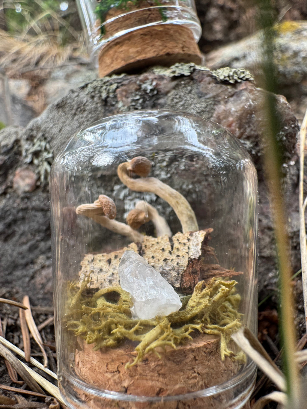 Mossy Mountain Miniatures