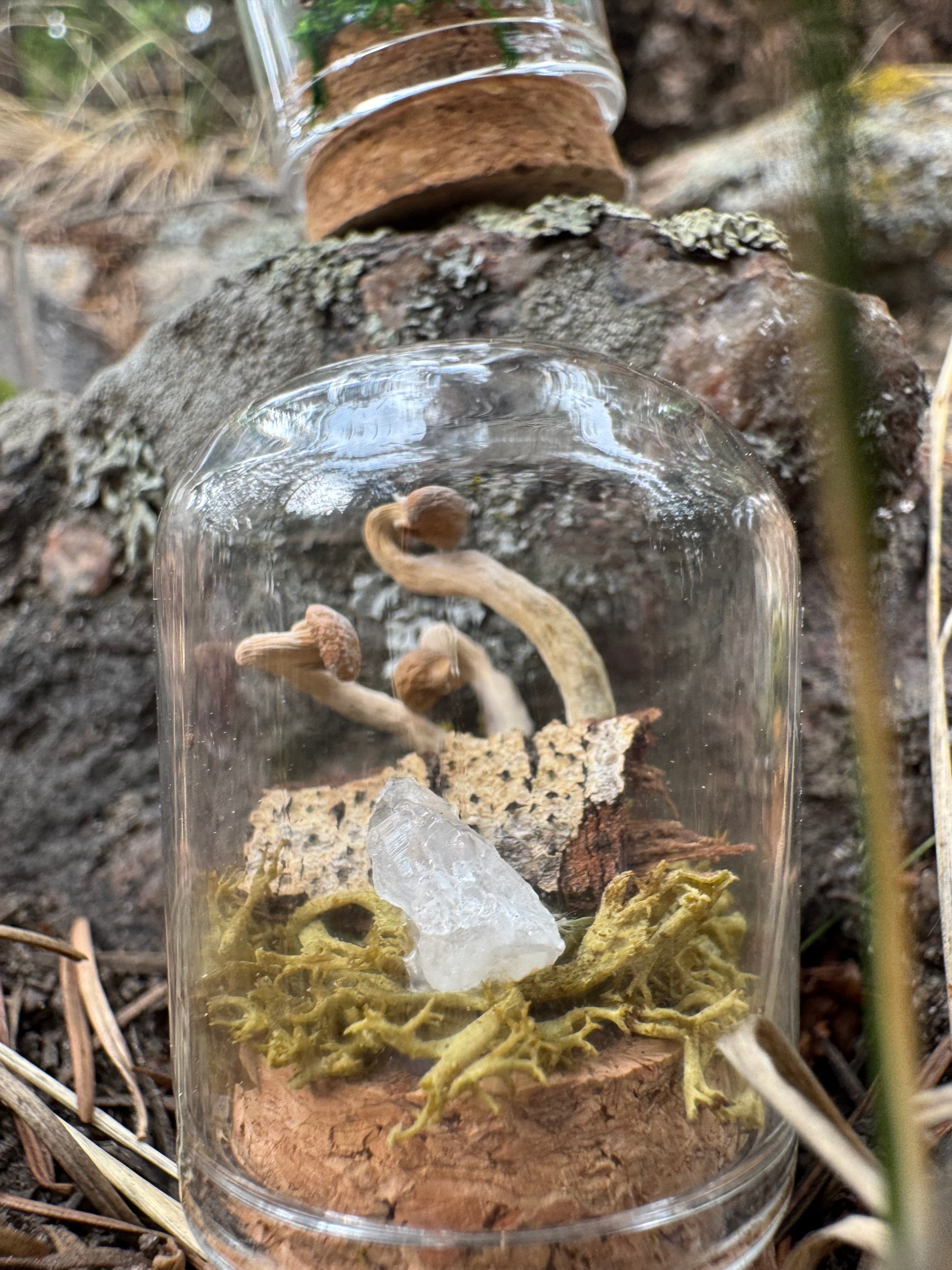 Mossy Mountain Miniatures