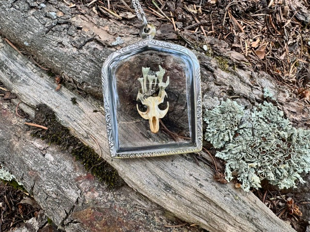The Forest's Rebirth