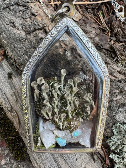 Fairy Cups & Opals