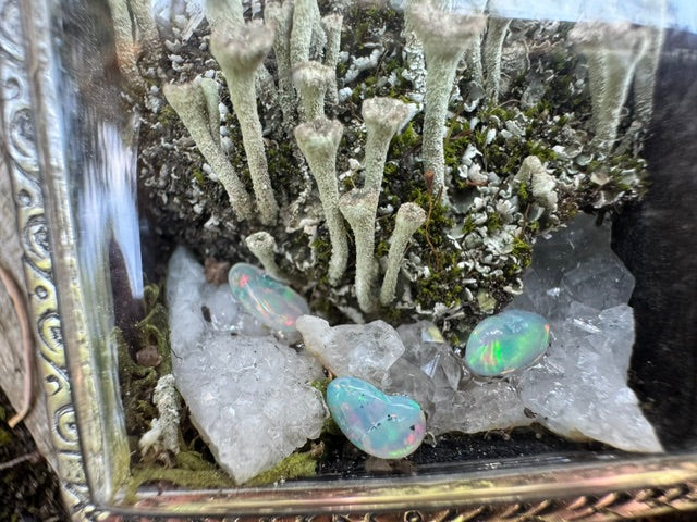 Fairy Cups & Opals