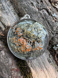 Mixed Lichen's Resin Pendant