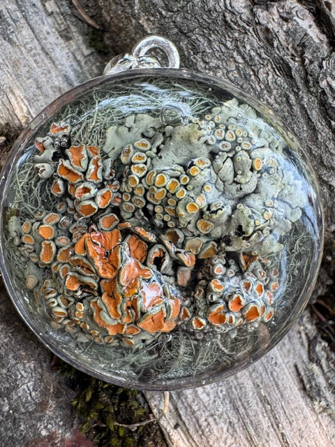 Mixed Lichen's Resin Pendant