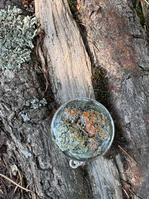 Mixed Lichen's Resin Pendant